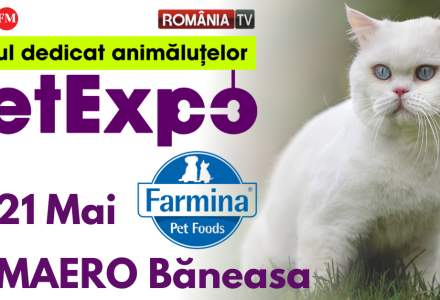 Show de pești exotici, concurs de grooming, prezentare de rase canine românești și internaționale și ședințe foto gratuite