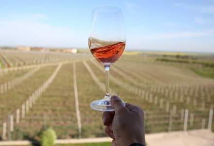 Turismul viticol in Romania: prinde curaj, poate fi facut oriunde in tara si costa de la 29 la 100 lei