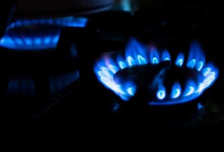 Prețurile plafonate ale gazelor, mai mari decât cele ale pieței?