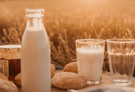 Lapte în rezervorul mașinii? Producătorii de lactate vor să facă bioetanol într-un mod neobișnuit