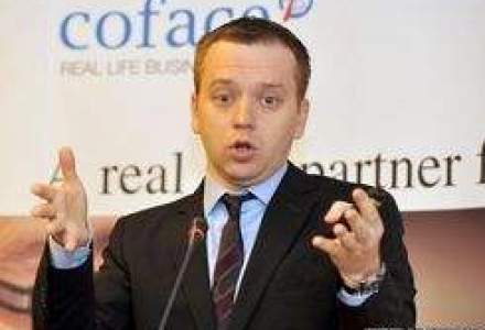 Coface: Bancile nu vor mai vinde credite neperformante in 2011