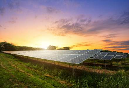 OMV Petrom vrea să devină un mare jucător și pe piața de energie solară. Ce parcuri fotovoltaice are în plan