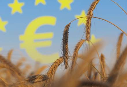 Grânarul lumii: Uniunea Europeană va deveni cel mai mare producător de grâu din lume până în 2032