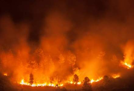 Incendii de proporții în Grecia. Ce se întâmplă cu turiștii români care se află în Rhodos