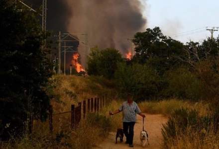 Premierul Greciei: Țara noastră este în război cu incendiile de vegetaţie
