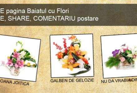 (P) Concurs Baiatul cu Flori: Castiga un aranjament de flori pe zi si cucereste cuconita!