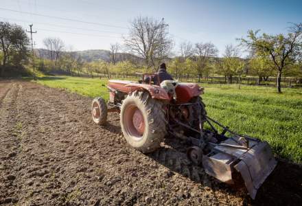 Valoarea producției agricole a României a scăzut cu aproape 16% în 2022. Cel mai mare declin, la pepeni și porci