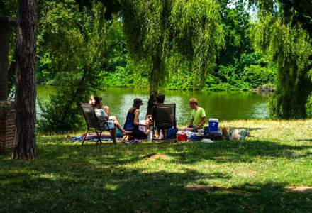 [FOTO] Cinci locuri verzi de vizitat lângă București - Destinații rapide de weekend
