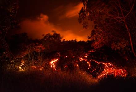[VIDEO] Incendii de vegetație devastatoare în Hawaii. Oamenii se aruncă în ocean pentru a scăpa de flăcări