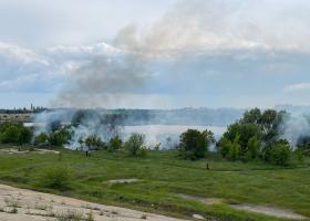 FOTO l Incendiu în Delta Văcărești: 5 autospeciale ISU sunt prezente