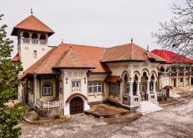 GALERIE FOTO | Unul dintre cele mai frumoase conace din România, scos la...
