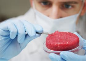 Două companii americane au primit aprobare să vândă carne cultivată în laborator