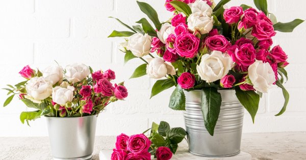 Florării online: afaceri de la care poți cumpăra online flori pe care să le...