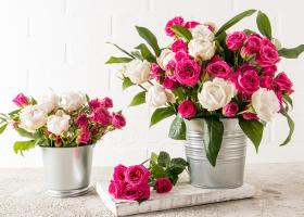 Florării online: afaceri de la care poți cumpăra online flori pe care să le...