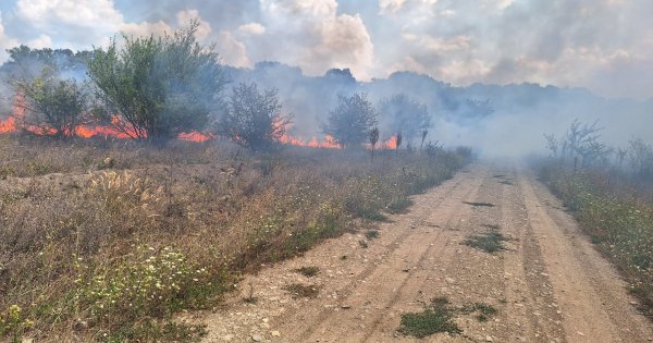 Incendiu puternic în Nordul Capitalei: peste 30 de hectare sunt afectate
