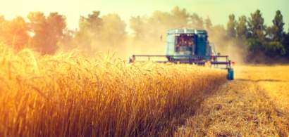 Exporturile de cereale ale Romaniei au scazut in primul semestru cu 9%, la...