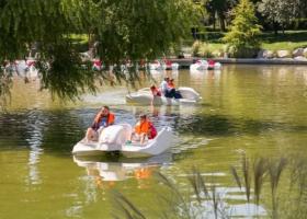 Atracții de Ziua Copilului: Plimbări gratuite pe lac pentru copii în Parcul...
