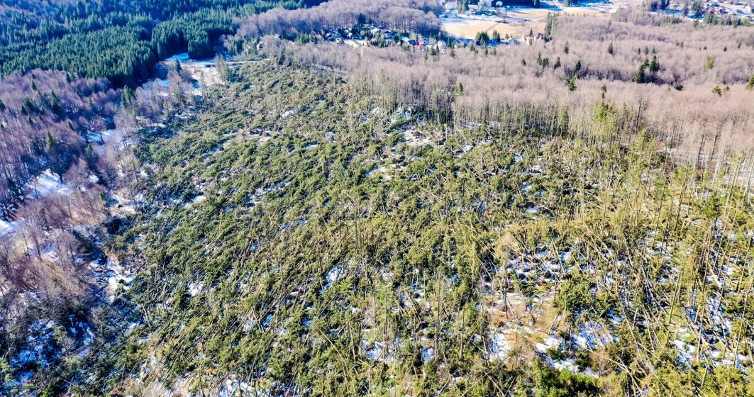 FOTO Cum arata padurile din Romania, puse la pamant de fenomene extreme. Peste 110.000 de hectare de paduri au fost distruse