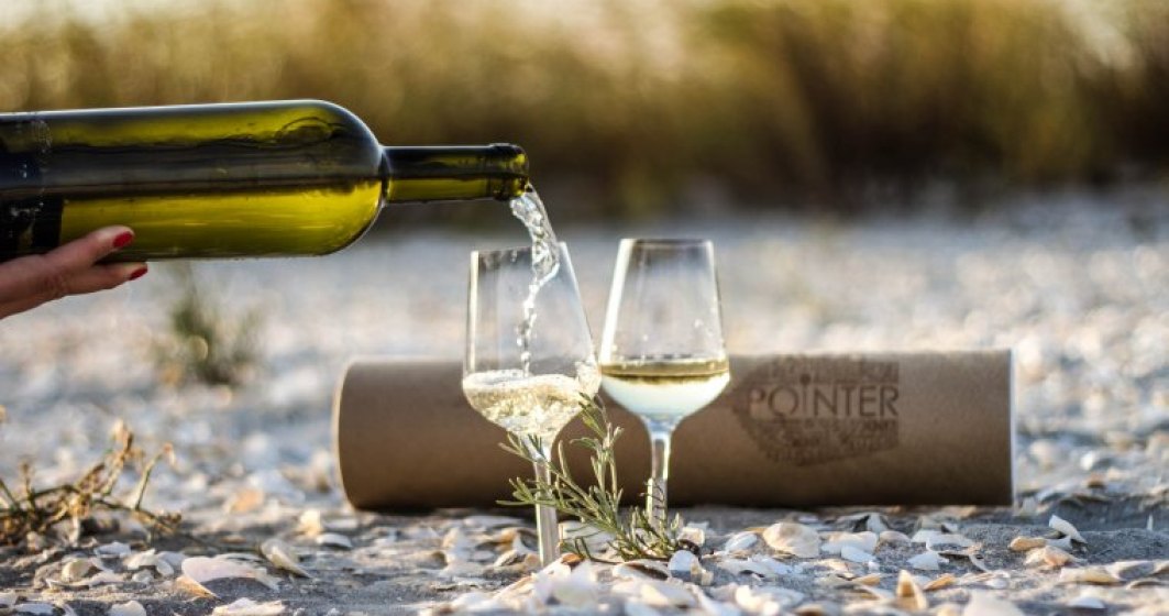 Afacere nascuta la picnic: cum o tanara romanca a reinventat paharul de vin pe care il vinde in SUA, Namibia, Bahrain sau Australia