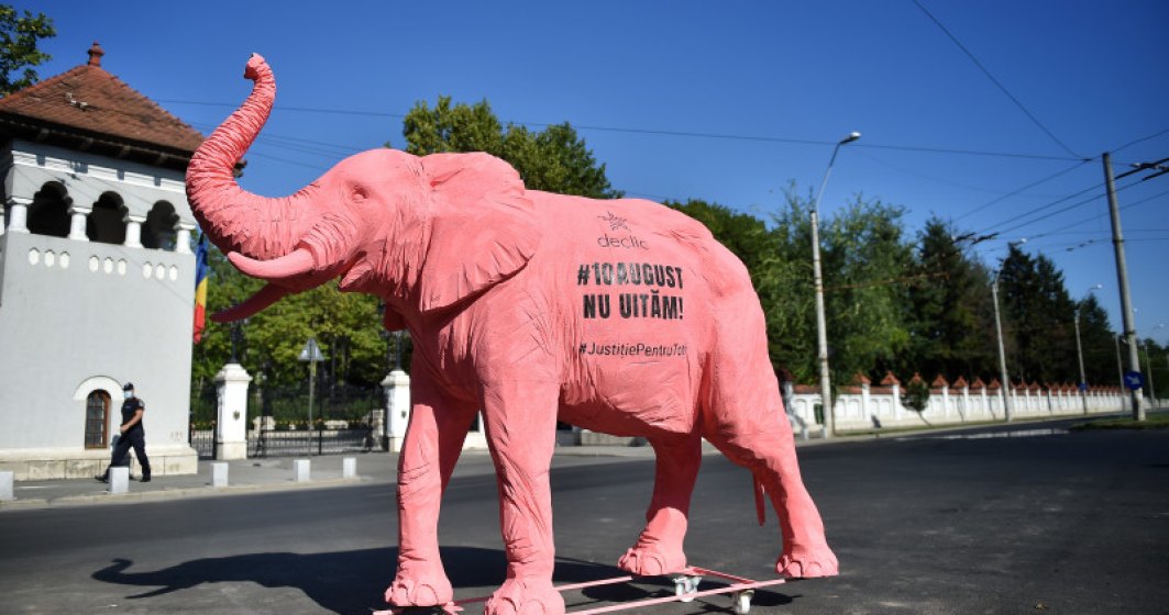 Membrii comunității Declic duc un elefant roz la toate instituțiile implicate în ancheta 10 august