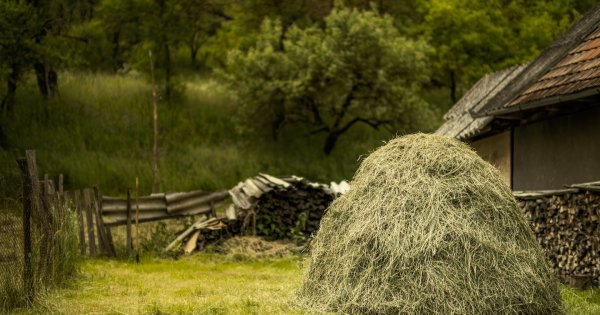 Botănoiu (Asociația Fermierilor): Securitatea alimentară a României e în...