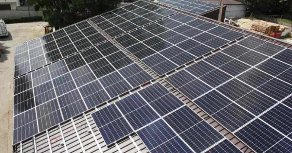 Zoo Băneasa și-a pus panouri solare, devine prosumator și speră să recupereze...