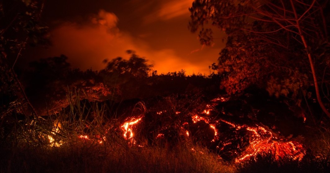Incendii de vegetație devastatoare în Hawaii. Oamenii se aruncă în ocean pentru a scăpa de flăcări