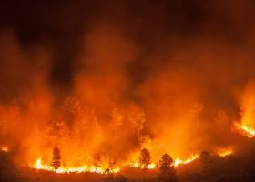 Nici nu a venit încă vara și incendiile de vegetație fac deja ravagii în Grecia