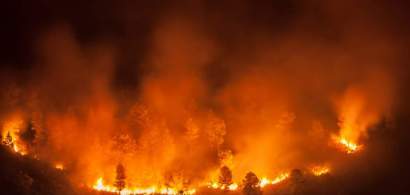 Nici nu a venit încă vara și incendiile de vegetație fac deja ravagii în Grecia