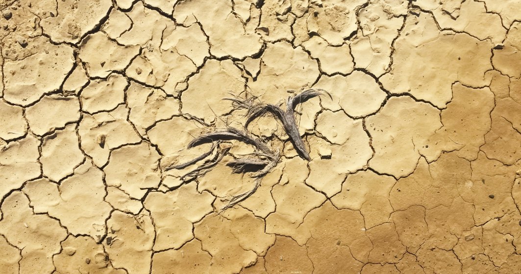 Risc de secetă pe aproape jumătate din suprafața UE. România, printre țările cele mai afectate