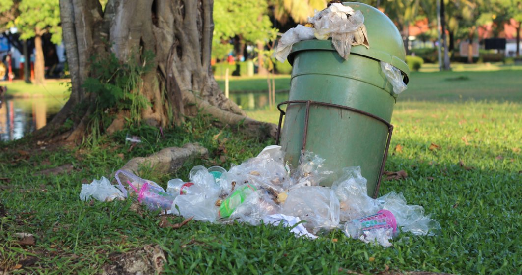 Nicușor Dan promite că o să facă curățenie în parcurile din București