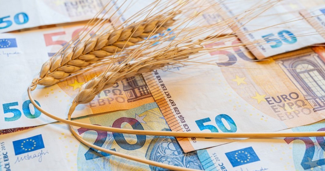 Egiptul a cumpărat 170.000 de tone de grâu din România și Bulgaria, deși Rusia a scăzut prețurile