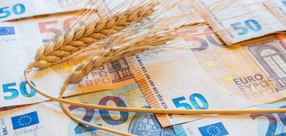 Egiptul a cumpărat 170.000 de tone de grâu din România și Bulgaria, deși...