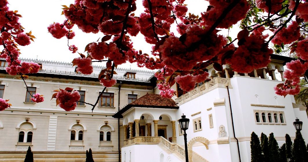Muzeul Național Cotroceni reia activitatea de vizitare la finalul acestei săptămâni