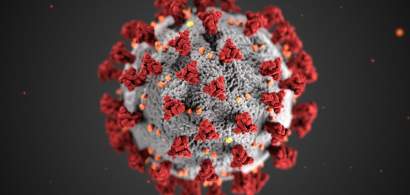 UPDATE Coronavirus 23 mai | Sub 500 de cazuri confirmate în ultimele 24 de ore