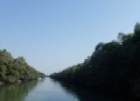 Poza 3 pentru galeria foto REPORTAJ: Delta Dunarii, un paradis care nu trebuie ocolit