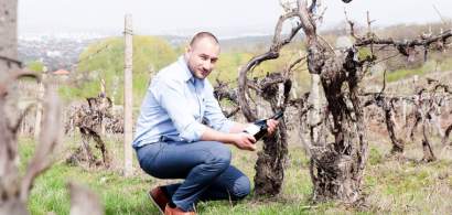 Marian Olteanu, Crama GRAMMA: Vedem pe mese tot mai multe pahare de vin in...