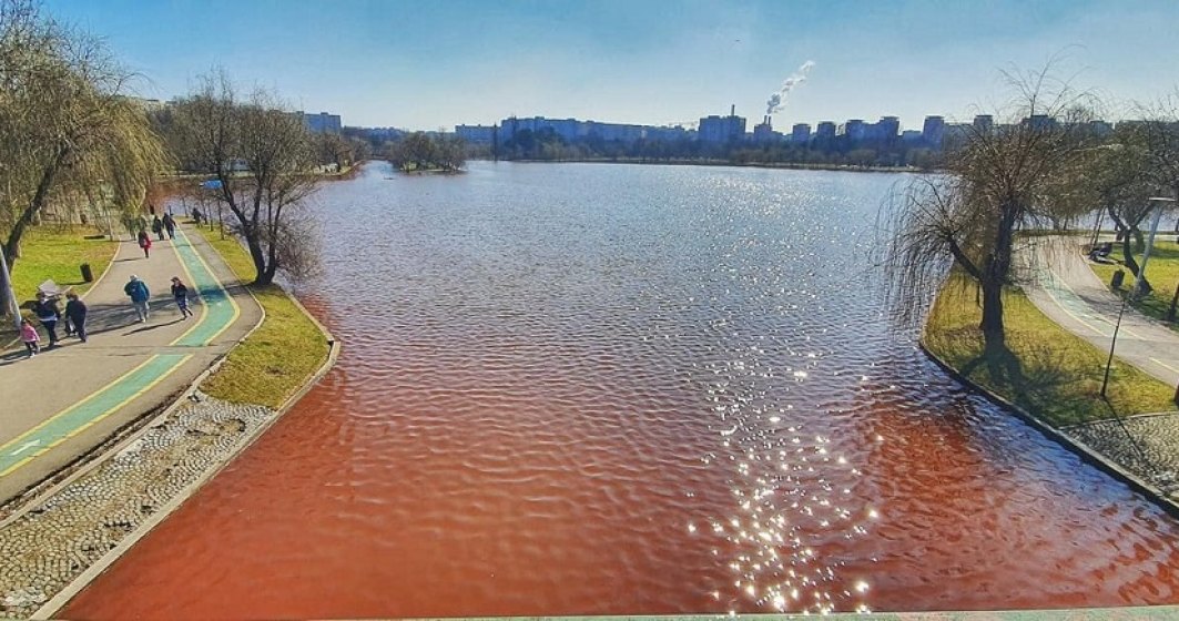 Algele roșii care au provocat înroșirea lacului IOR nu sunt toxice