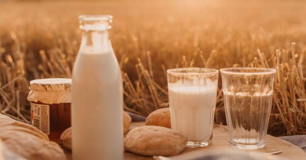 Lapte în rezervorul mașinii? Producătorii de lactate vor să facă bioetanol...