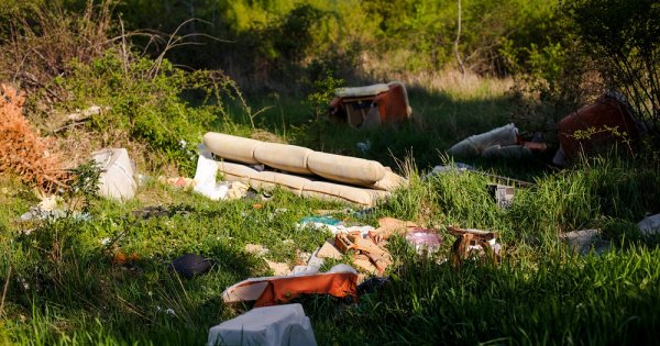 Sarantis România a colectat peste 300 de saci cu deșeuri menajere în zona...
