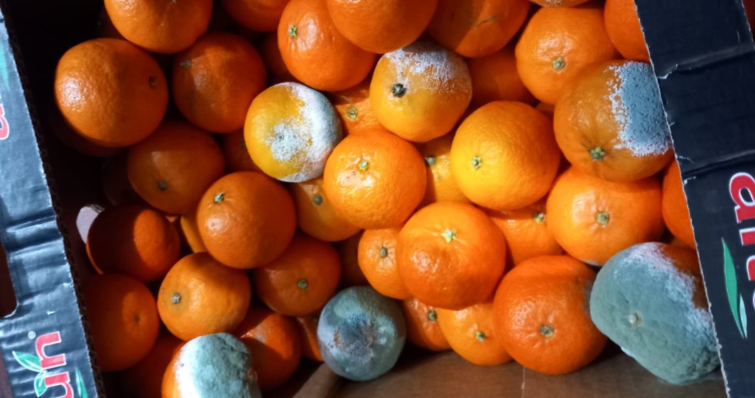 FOTO | ANPC controlează depozitele de fructe: au fost oprite din comercializare 200 de tone