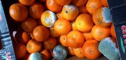 FOTO | ANPC controlează depozitele de fructe și legume: au fost oprite din...