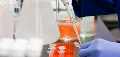 UPDATE Coronavirus 24 noiembrie | Scade numărul de teste efectuate în...