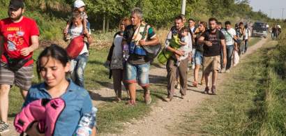 Arad: Douazeci de migranti afroasiatici, prinsi incercand sa treaca granita...