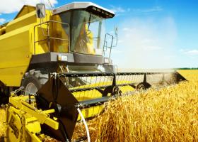 Scandalul importurilor de cereale din Ucraina: Fermierii români vor fi...