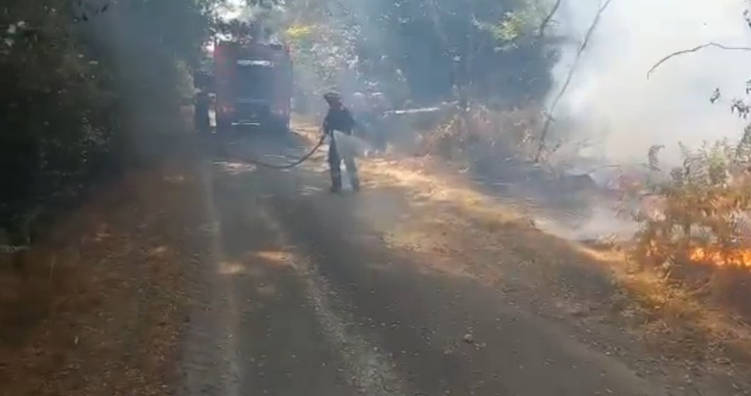 VIDEO | A avut loc prima misiune a pompierilor români în Franța