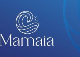 Primăria Constanța: „Renunțăm la noul logo cu Mamaia. Valoarea logo-ului nu...