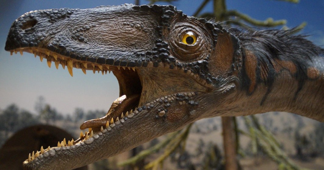 Descoperire istorică: Cercetătorii au găsit prima dovadă a unui mamifer mâncat de un dinozaur cu pene