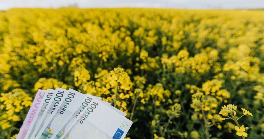 Despăgubirea Guvernului de 100 de euro la hectar ca urmare a pierderilor cauzate de războiul din Ucraina, insuficientă pentru fermieri