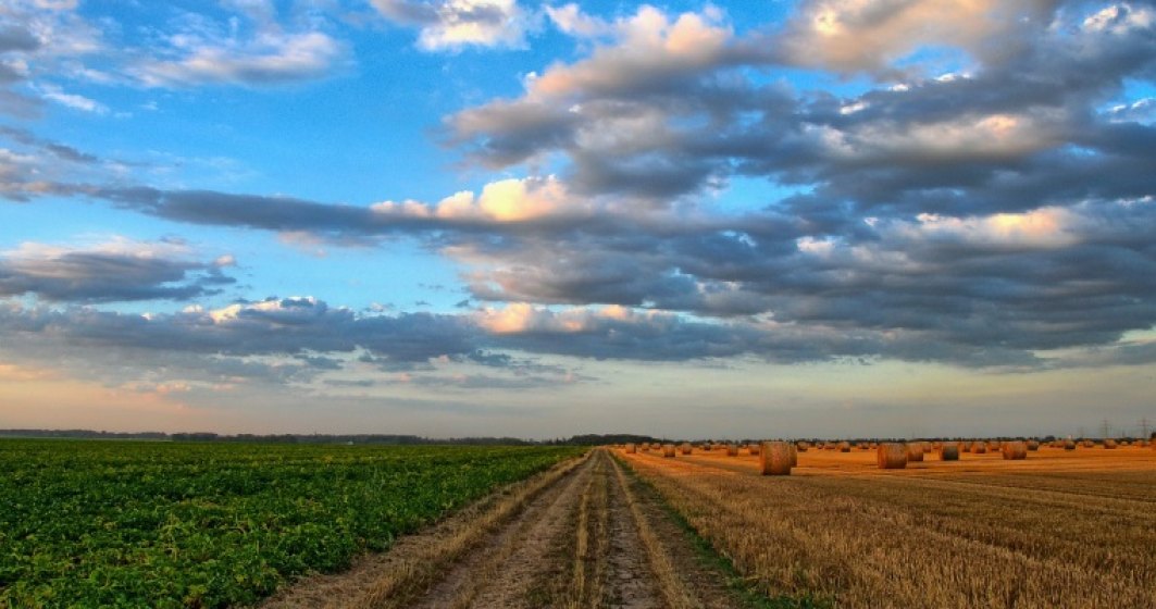 Ministerul Agriculturii vrea sa ingreuneze cumpararea de terenuri agricole de catre straini